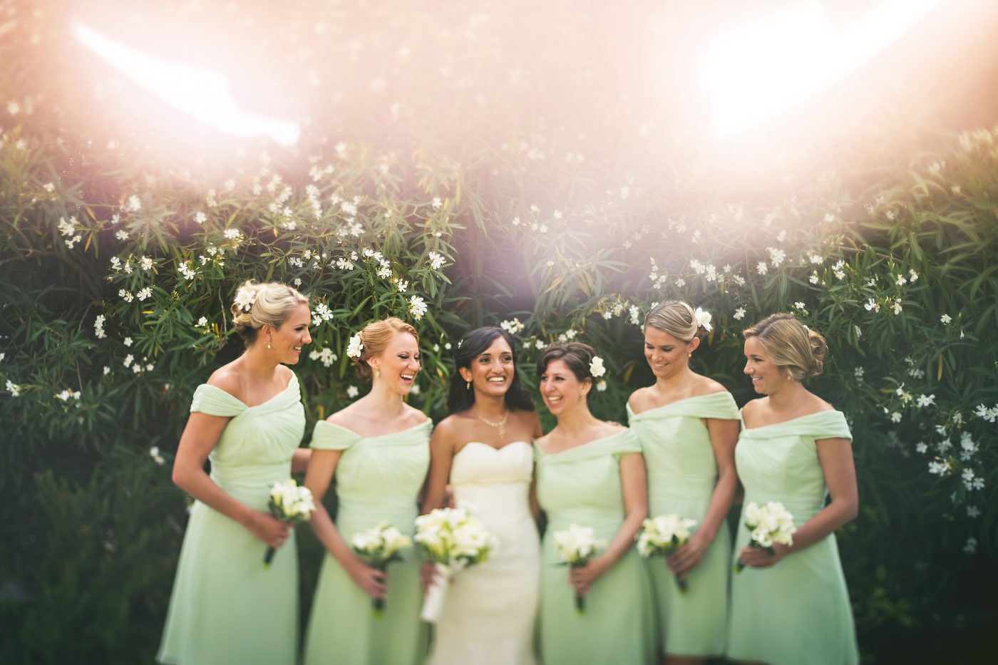 Weddings