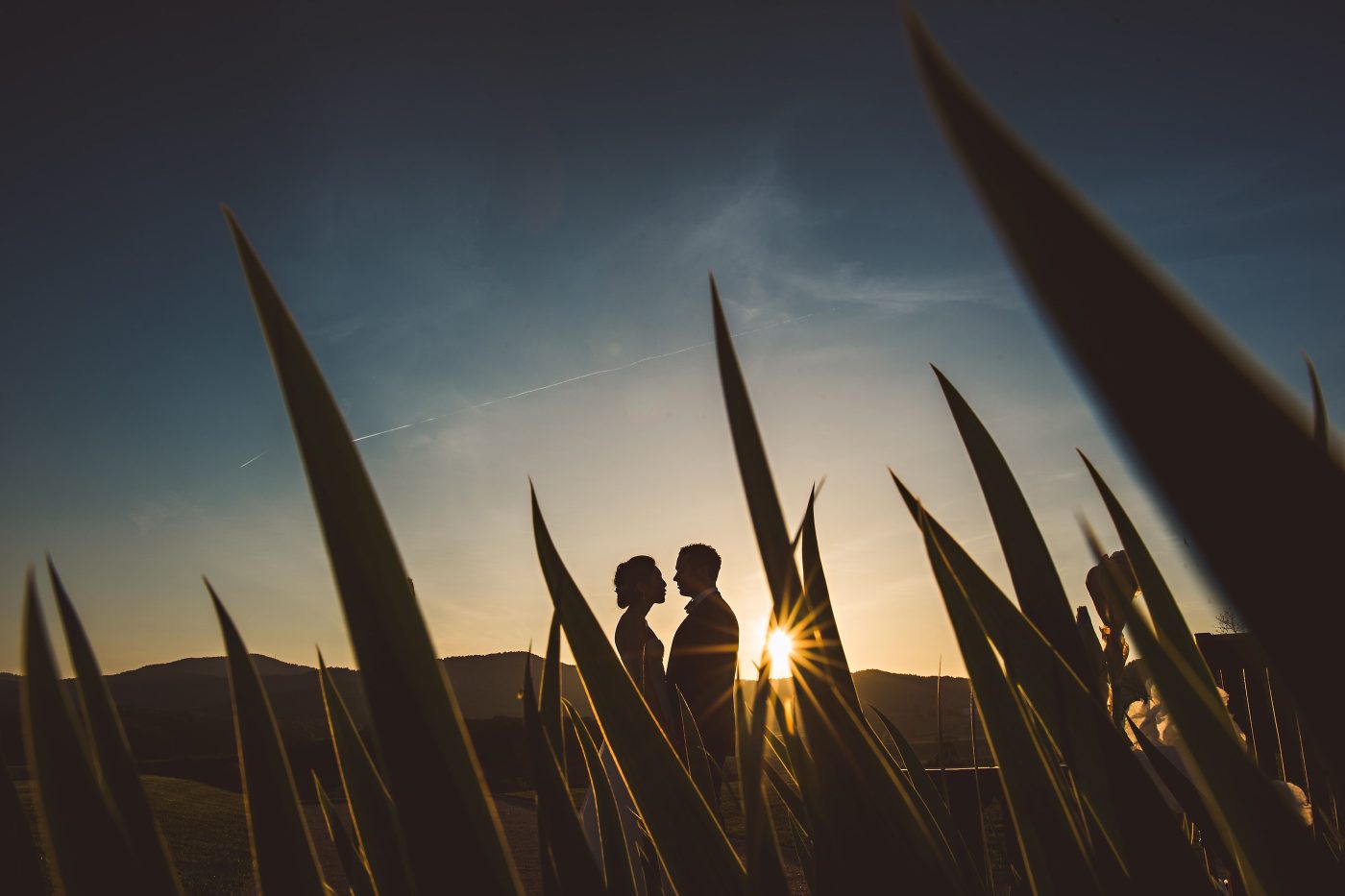 Weddings