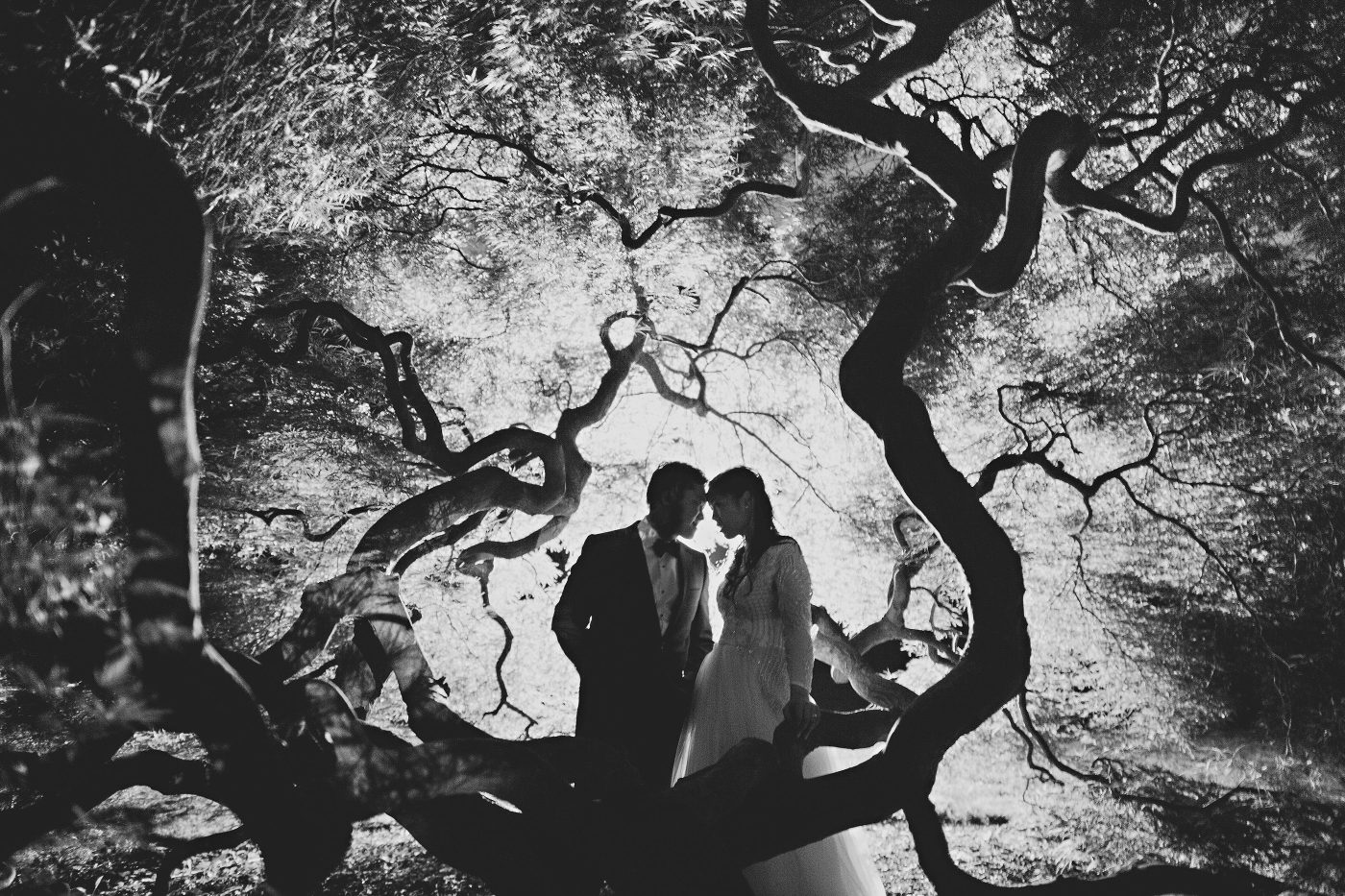 Weddings